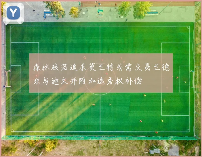 森林狼若追求莫兰特或需交易兰德尔与迪文并附加选秀权补偿