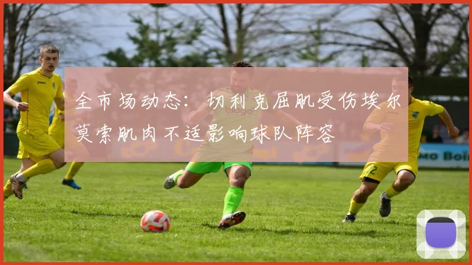 全市场动态：切利克屈肌受伤埃尔莫索肌肉不适影响球队阵容