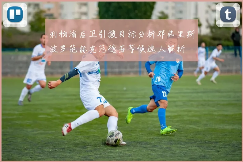 利物浦后卫引援目标分析邓弗里斯波罗范赫克范德芬等候选人解析