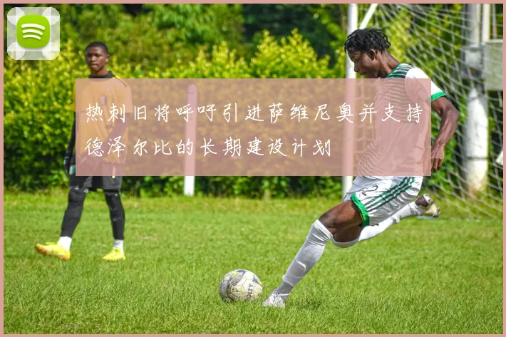 热刺旧将呼吁引进萨维尼奥并支持德泽尔比的长期建设计划
