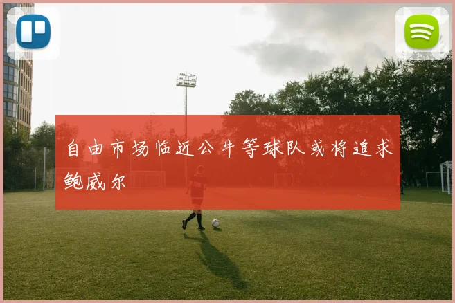 自由市场临近公牛等球队或将追求鲍威尔